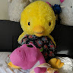 Meet your Posher, Felix